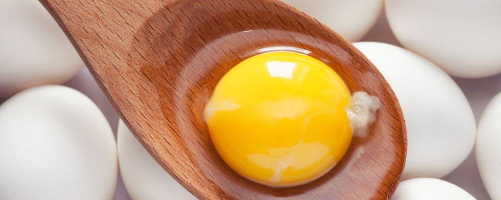 鸡蛋 蛋黄膜 细菌 繁殖 食物中毒 蛋白质 寄生虫 污染