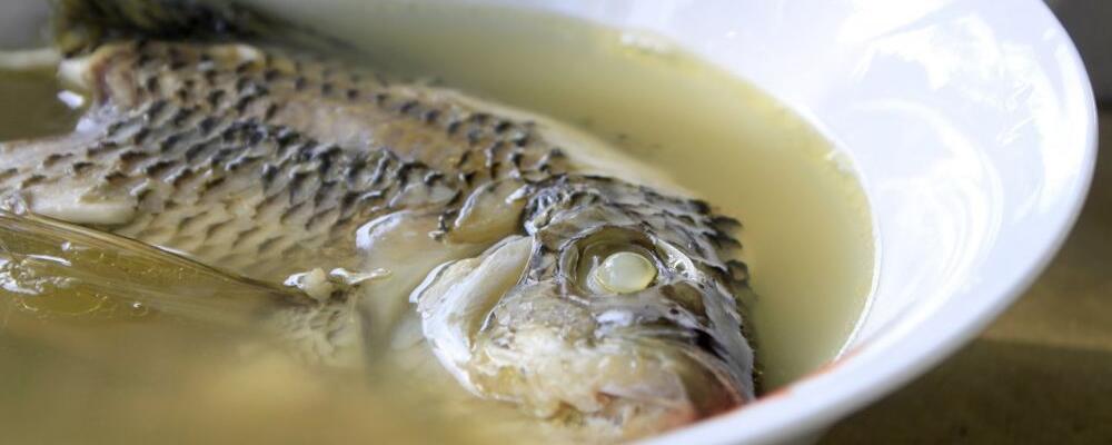 秋季保健 吃鱼 药用性能 食疗 饮食 疾病 患者