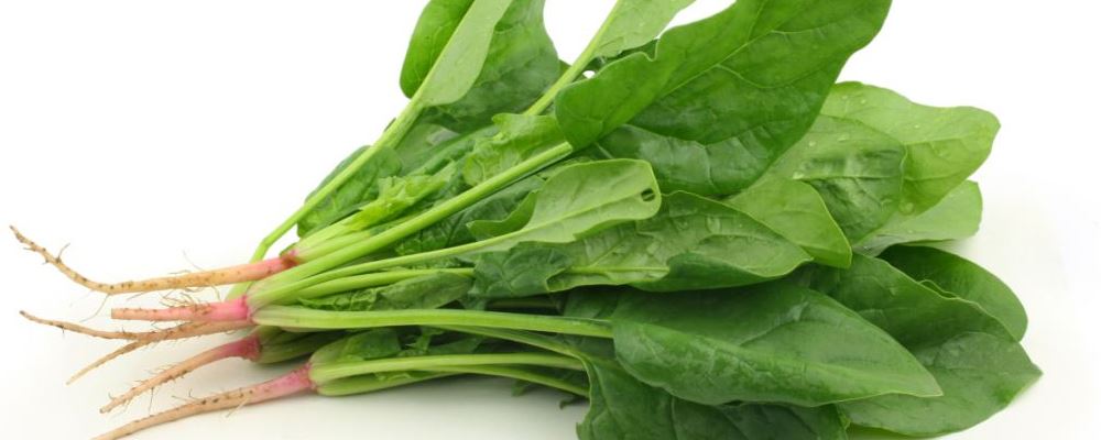 男性保健 蔬菜 菠菜 西兰花 番茄 皮炎 微量元素 胆固醇