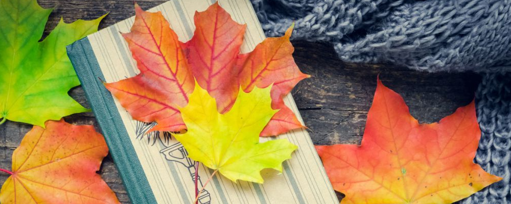 秋季干燥对心脑的影响有哪些秋季干燥对心脑的影响怎么调理 秋季干燥对心脑的影响有什么