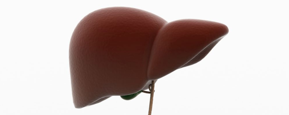 脂肪肝是怎么引起的 脂肪肝要如何治疗 脂肪肝是如何引起的